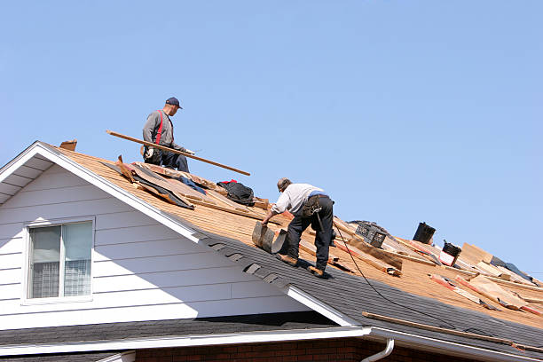 Best Roof Maintenance and Cleaning  in Lucedale, MS